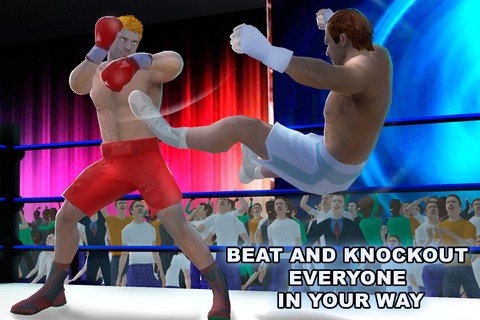 Real Punch Box Fighting 3D Full screenshot 2