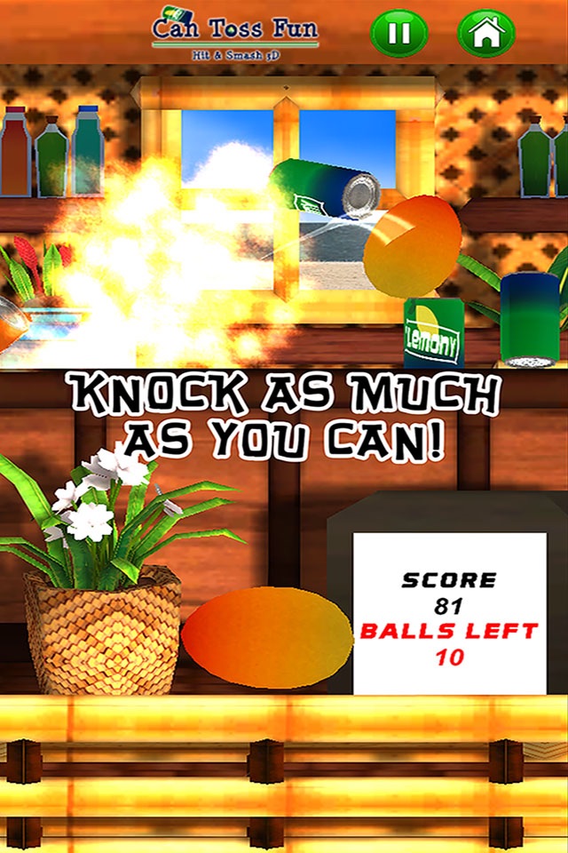 Can Toss Fun - Hit & Smash 3D screenshot 3