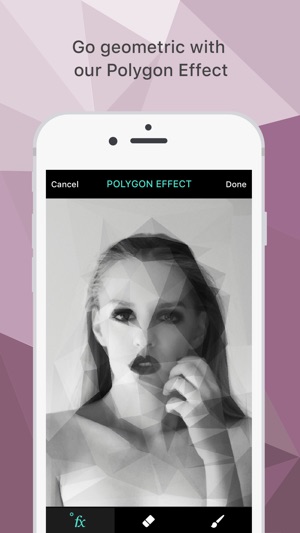 Polygon Effect - Create Low Poly Portraits and Geometric Art(圖1)-速報App