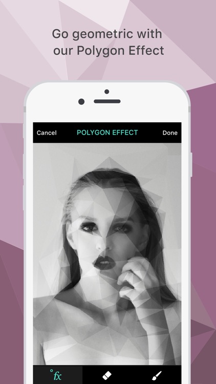 Polygon Effect - Create Low Poly Portraits and Geometric Art