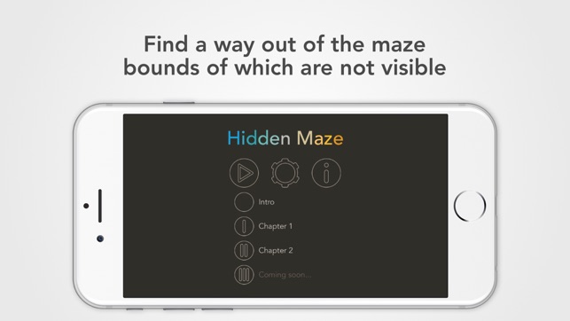 Hidden Maze