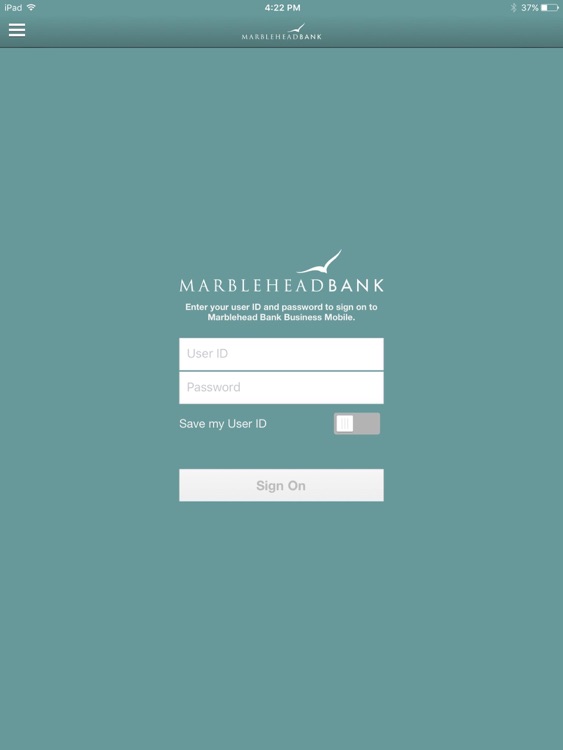 MB Business for iPad