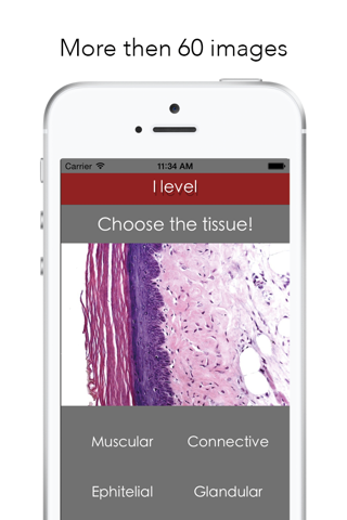 Histology Worldwide Test Lite for iPhone screenshot 2