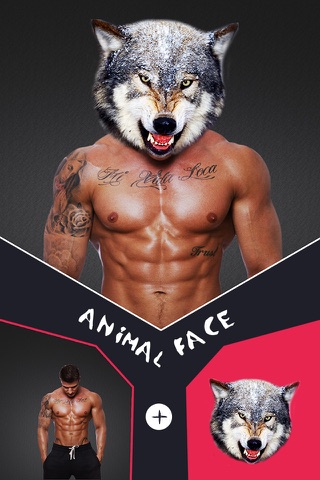 Animal Face Morph Pro - Sticker Photo Editor to Blend Yr Skin with Wild Effects screenshot 2