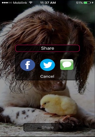 Dog - a gift app screenshot 3