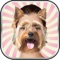 Animal Head Photo Montage Maker – Best Funny Face Changer and Pic Editor with Cool Sticker.s