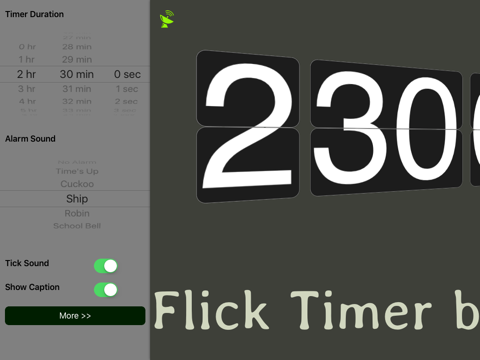 Flick Timer (with Remote Control) screenshot 3