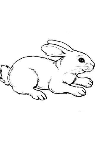 Animal Coloring Pages - Coloring Pages With Cute Animals screenshot 3