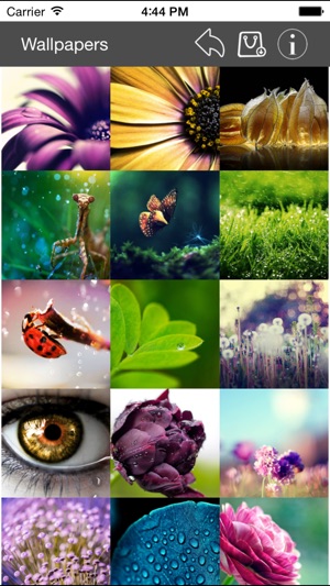 Wallpaper Collection Macro Edition(圖1)-速報App