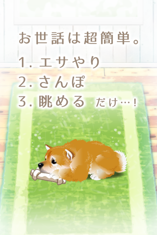 My Dog Life - Japanese Shiba screenshot 2