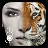 InstaFace:face eyes blend morph with animal effect