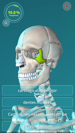 Anatomy Quiz - muscles and bones(圖5)-速報App