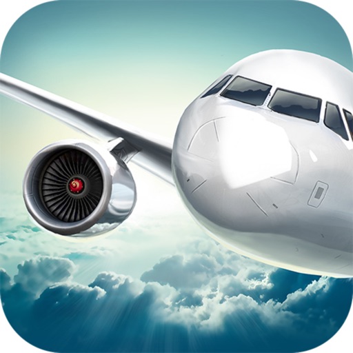 Aircraft Flight 3D Pro