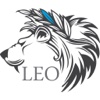 Leo Partner