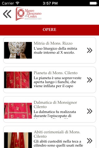 Museo Diocesano e del Codex screenshot 4