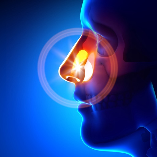 Sinusitis101: Prevention Tips and Treatment Tutorial