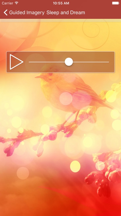 Guided Imagery - 7 Guided Meditations for Inner Peace Relaxation and Self Esteem screenshot-4