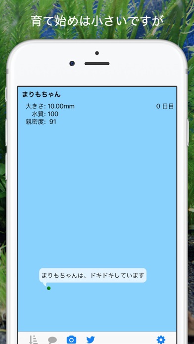 まりもちゃん By Hana Da Hiromitsu Ios 日本 Searchman アプリマーケットデータ