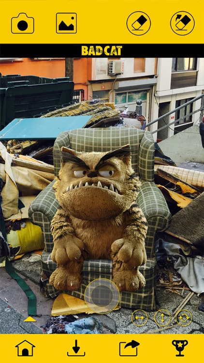 Bad Cat Me screenshot-4