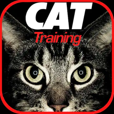 Cat Training Tips Читы