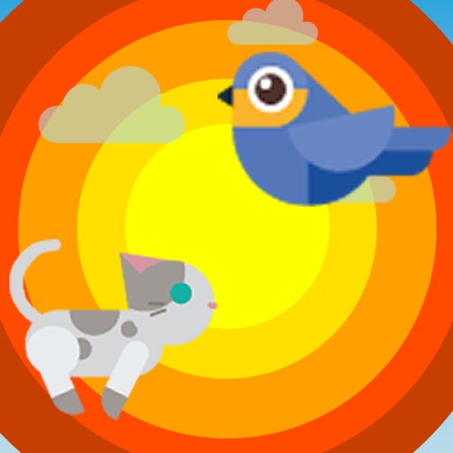 Birds & Cats iOS App