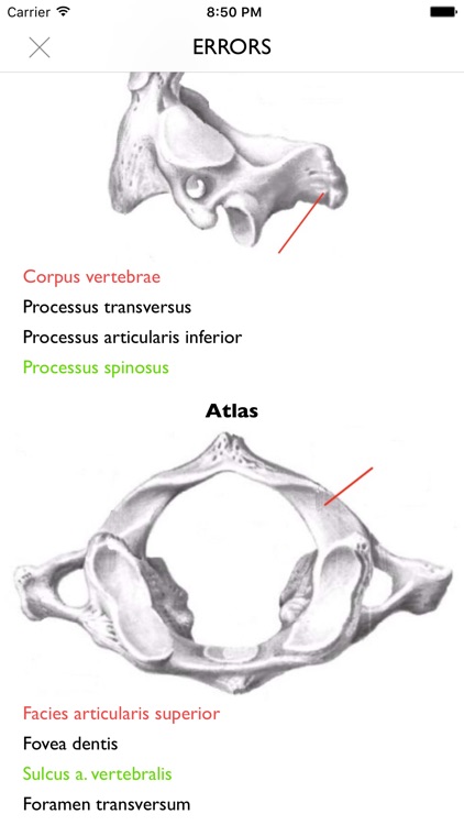 iOsteology - human skeleton anatomy tests