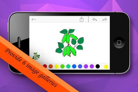 Color for Fun for painting,coloring screenshot 2