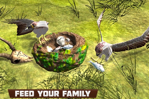 Real American Falcon Wild Sim screenshot 2