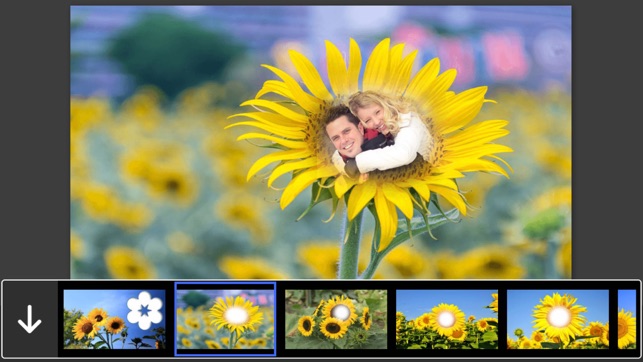 Sunflower Photo Frames - Creative Frames