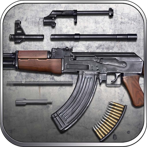 AK-47 Assult Rifle: Shoot to Kill - Lord of War Icon