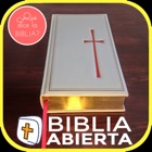 Biblia Catolica: Estudios Biblicos