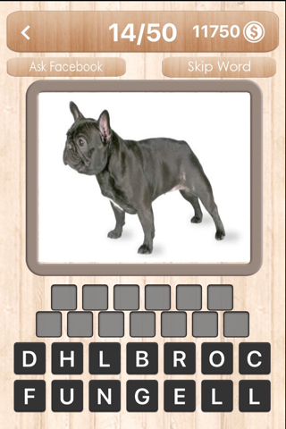 Dog Quiz - Guess the dog photo word famous Dogs, picture puzzle trivia games screenshot 4