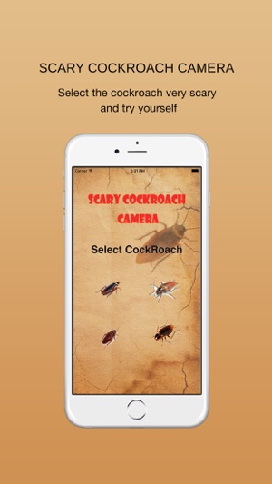 CockRoach Scare Prank - CockRoach Magic Free(圖2)-速報App