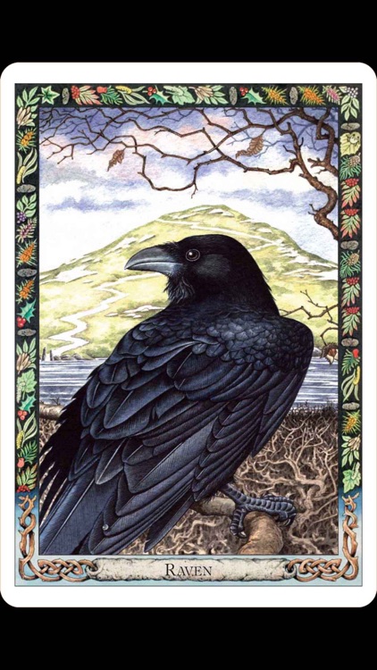 Druid Oracle Cards