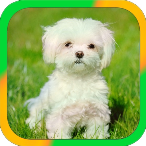 Animals to listen - Children iOS App