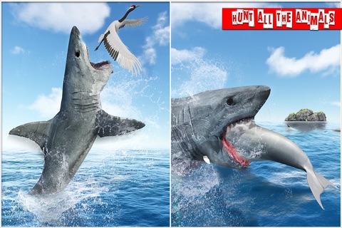 Life of Shark - Hungry Sim screenshot 4