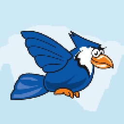 Impossible Bluejay - A flappy's adventure