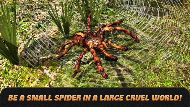 Spider Life Simulator 3D Full(圖1)-速報App