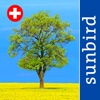 Alle Bäume Schweiz - 1000 Baumarten und Sträucher bestimmen + alle Parkbäume und Ziersträucher identifizieren