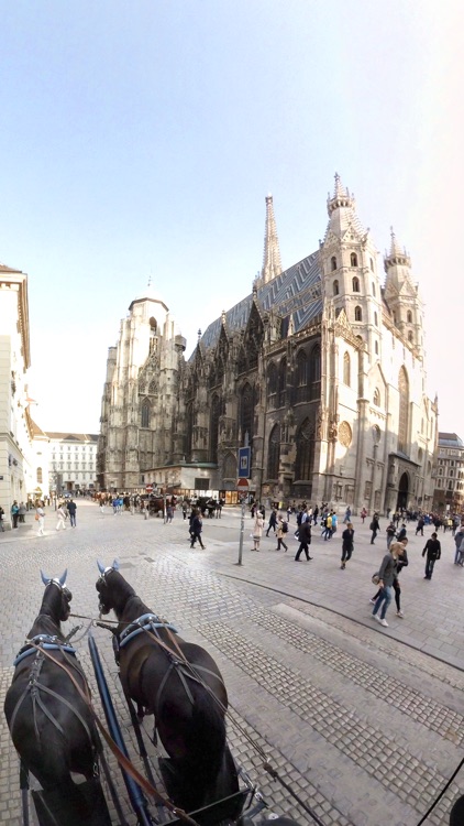 VR Virtual Reality Through Vienna in a Horse-Drawn Carriage - Fiaker Part 1