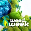 Weed Week