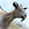 Have You Gone Goat? Simulator Games with Crazy Goats