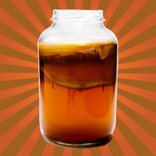 KOMBUCHA Made Easy! How to Make Kombucha Tea - Your First Home Brew With Probiotics icon