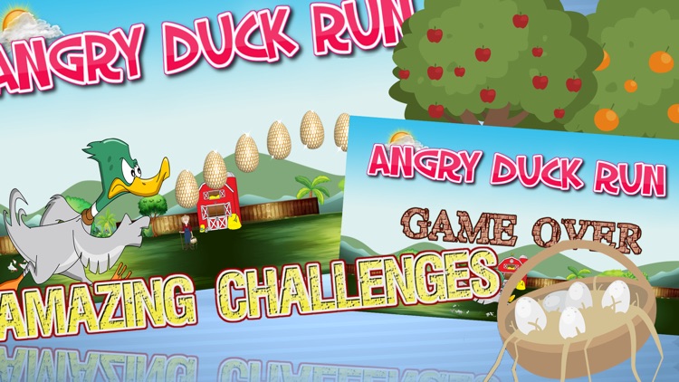 Angry Duck Run