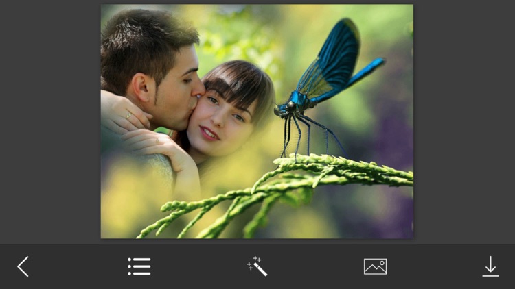 Dragonfly Photo Frame - Picture Frames + Photo Effects screenshot-3