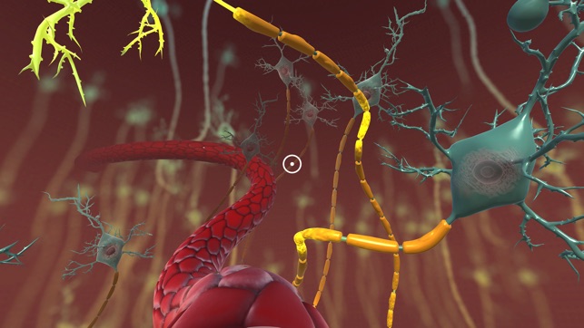 INVIVO Bloodstream Explorer VR(圖5)-速報App