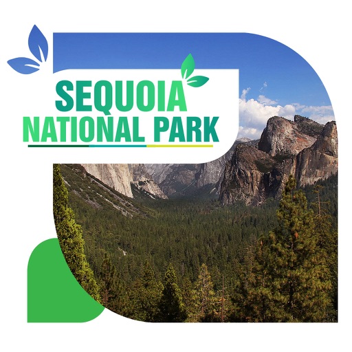 Sequoia National Park Travel Guide icon