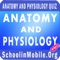 Anatomy and Physiology Practice Exam Pro