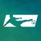 #1 FUT 17 App