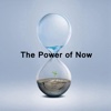 Quick Wisdom from The Power of Now
